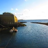 Le port à marée basse