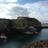 Le port à marée basse