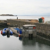 Barge Barge
