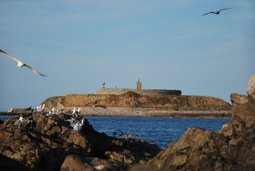 Vue générale de l'île du large