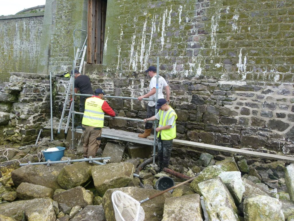 Travaux sur l'île avec les élèves du lycée Laplace de Caen