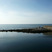 SONY DSC