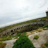 SONY DSC