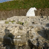 P1000946