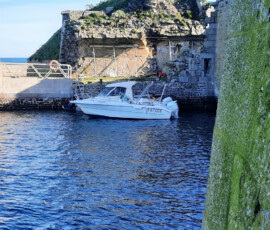 Le port, le batardeau, le corps de garde nord est